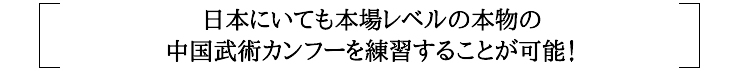 日本にいても本場レベルの本物の中国武術 カンフー 劈掛拳 八極拳 翻子拳 戳脚 太極気功‥を練習することが可能！